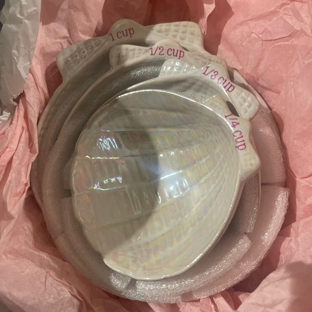 Iridescent Shell Measuring Cups